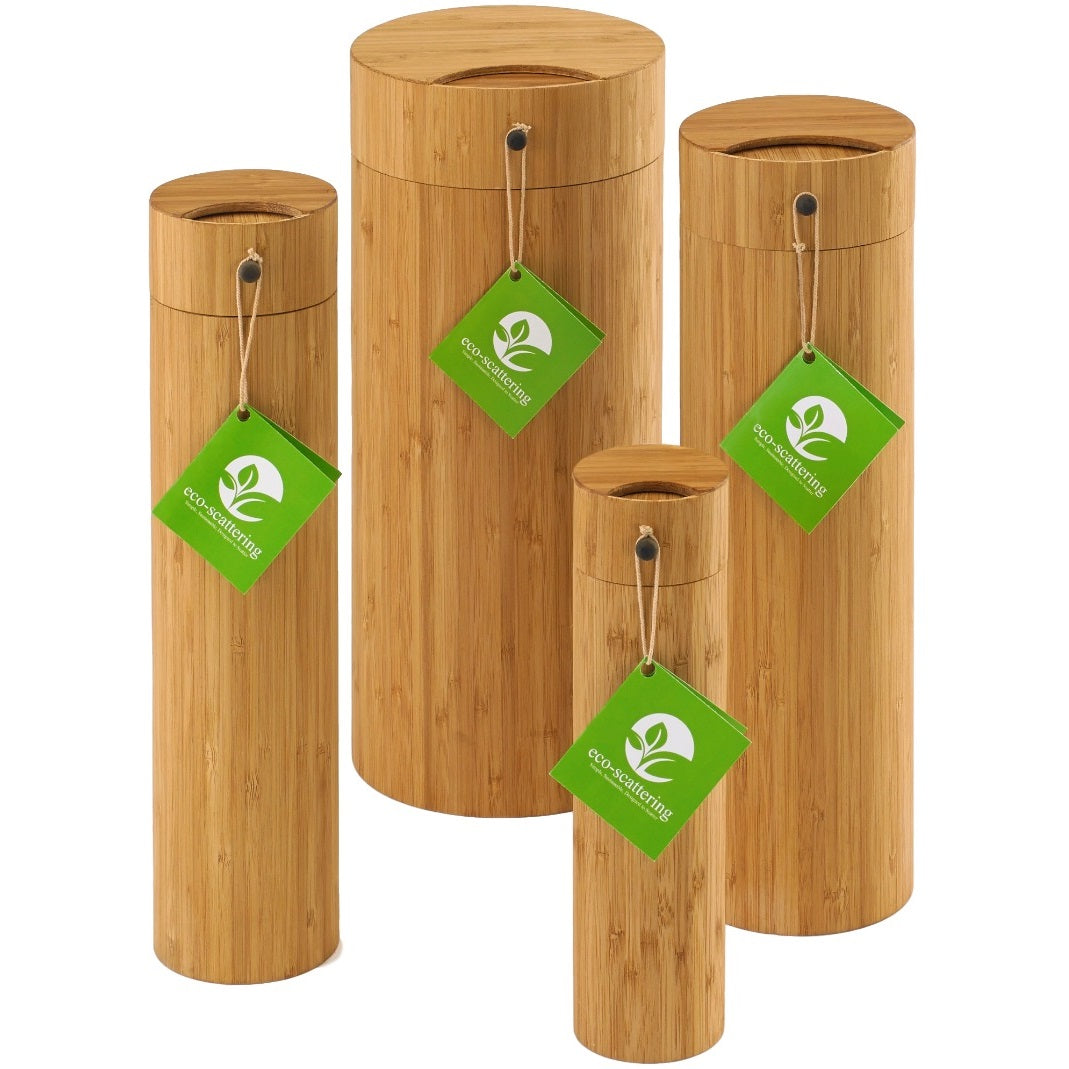 Eco Scattering - Messenger