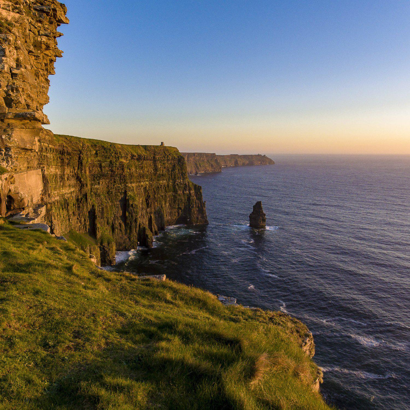 The Irish Living Urn - Messenger