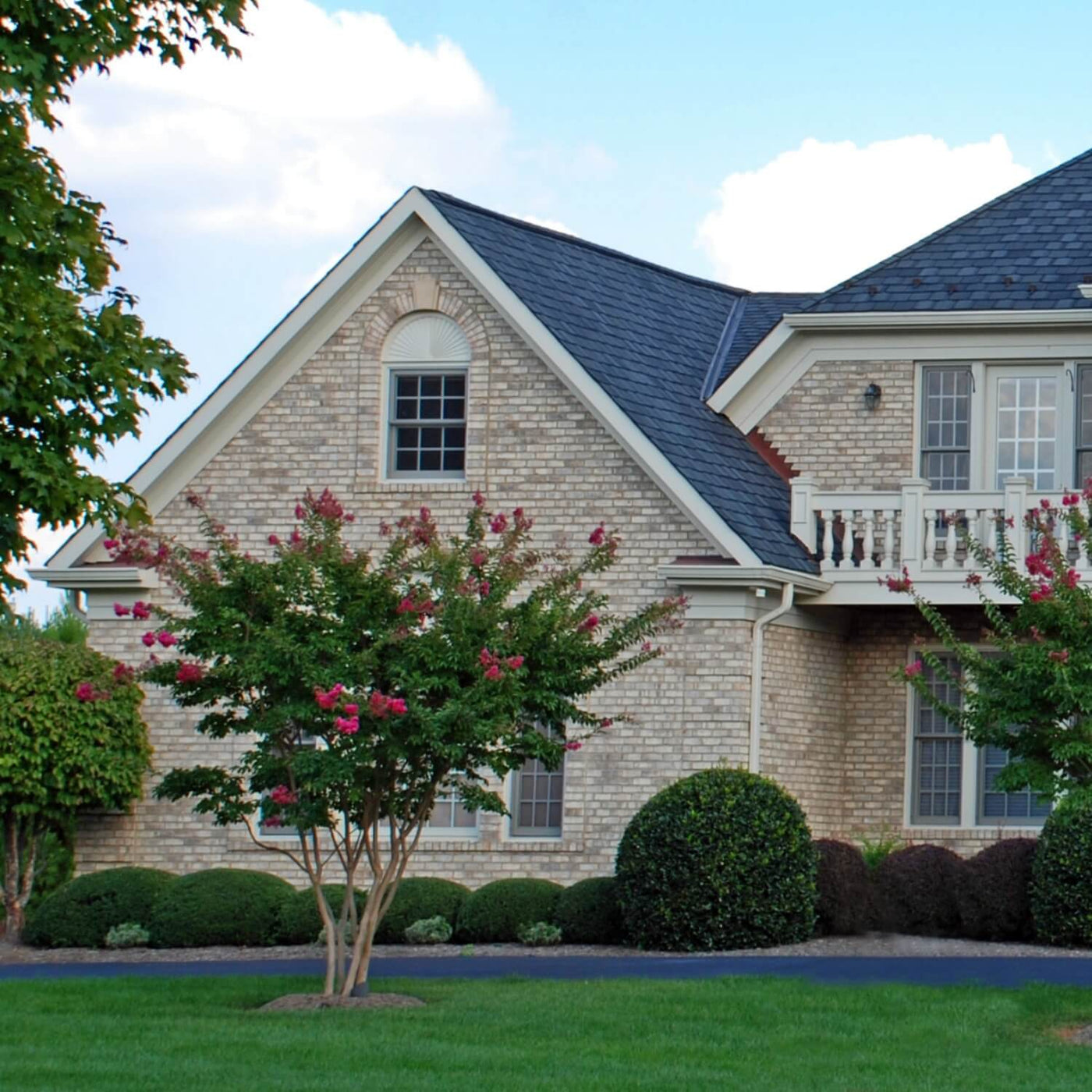 Crape Myrtle (Pink) - Heaven Bound