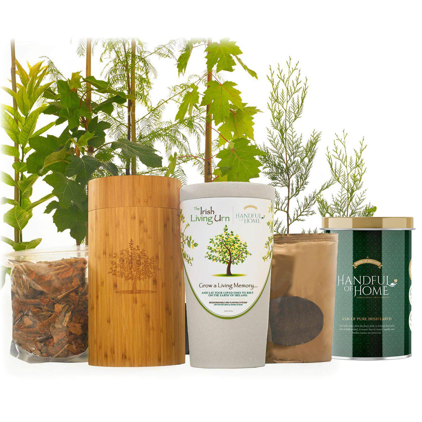 The Irish Living Urn - Messenger