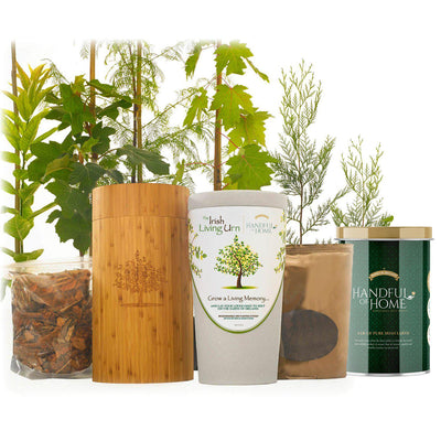 The Irish Living Urn - Messenger