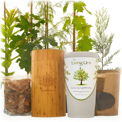 Living Urn System Only (use with your own tree, plant or flowers) - Emmick