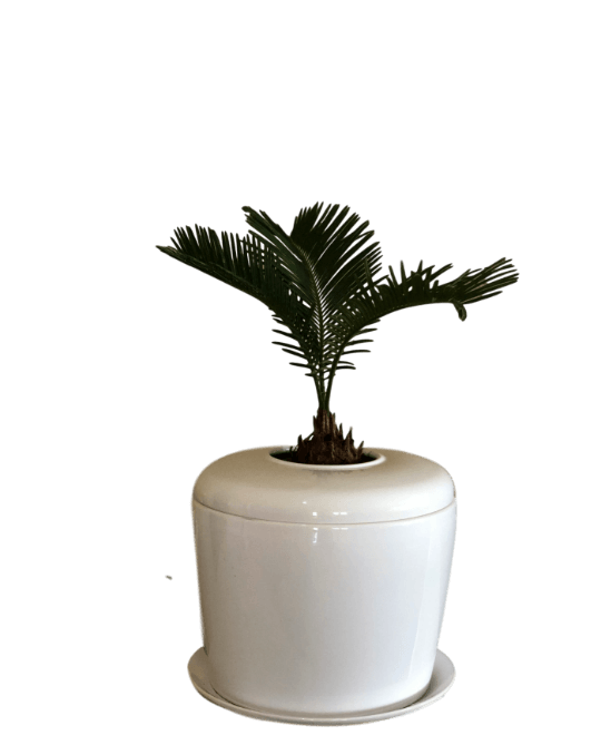 The Living Urn Indoors / Patio - Emmick