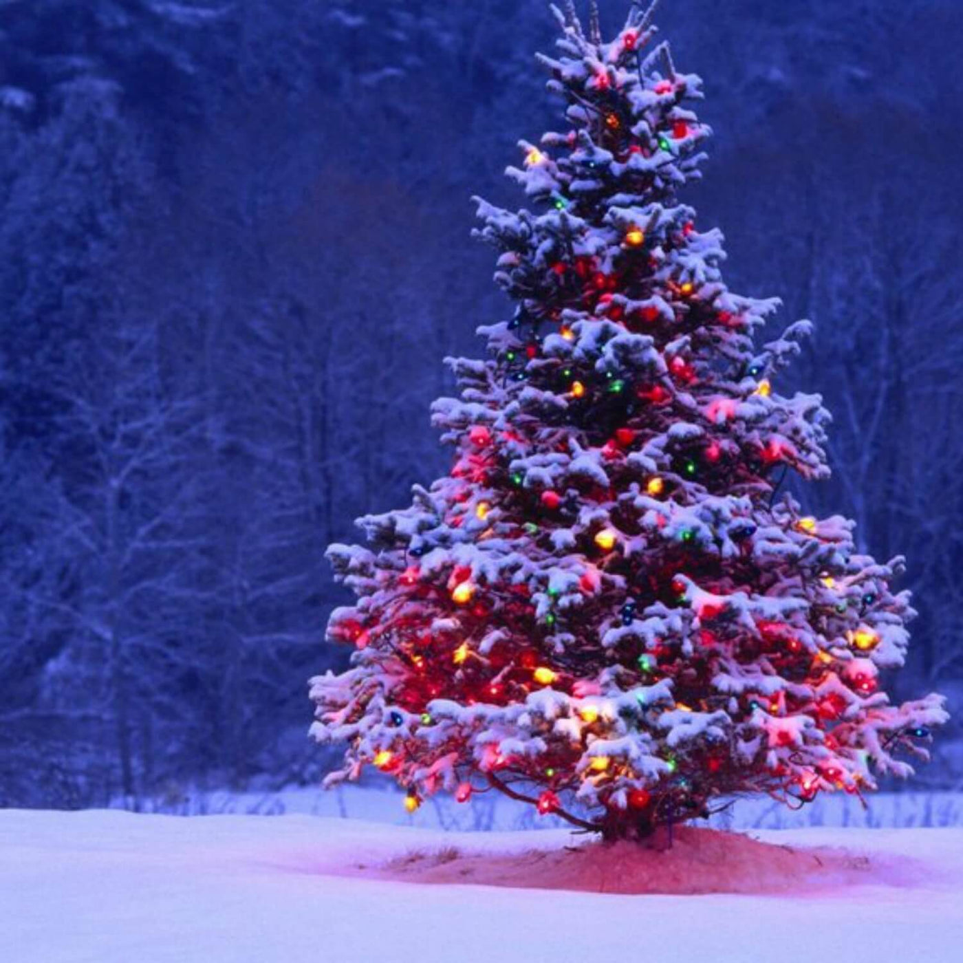 Christmas Tree - Akers James