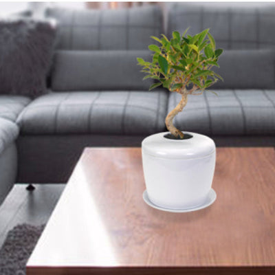 The Living Urn Indoors / Patio - Heaven Bound